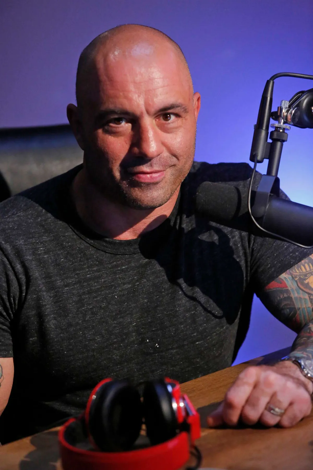 Joe Rogan career
